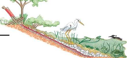 Shoreline residents happily return Shoreline residents happily return