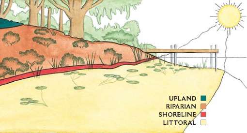 The Waterfront Zones The Waterfront Zones